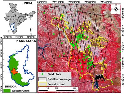 Use of TanDEM-X PolInSAR for canopy height retrieval over tropical forests in the Western Ghats, India